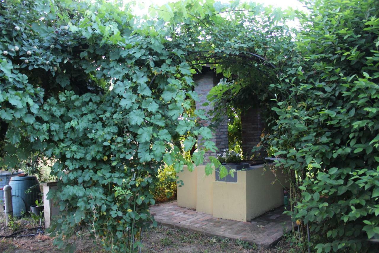 B&B Il Pozzo Castenaso Exterior photo